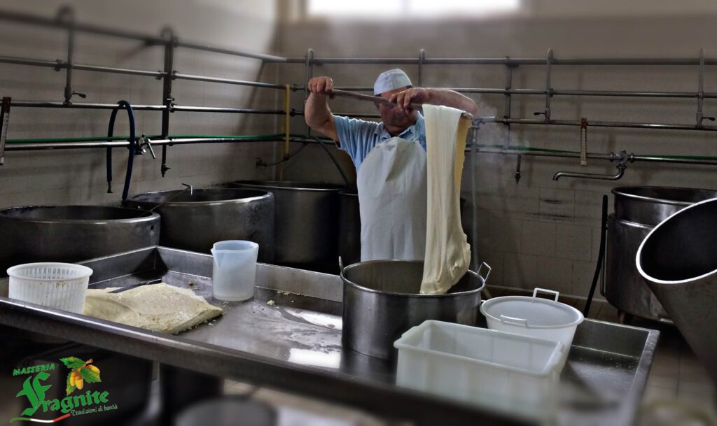 mozzarella mozzarella